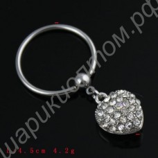 Кольцо для соска Steel Nipple Accessory